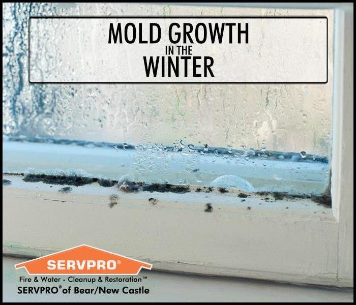 Mold growth on a window covered with condensation