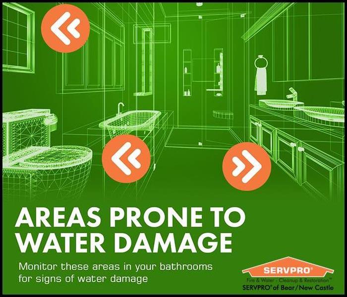 Infographic showing areas in a bathroom that are prone to water damage